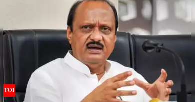 महाराष्ट्र: गँगस्टर निलेश घयवालचा पासपोर्ट, बंधूंचा शस्त्रे परवाना, डिप्टी सीएम अजित पवार म्हणतात पुणे न्यूज