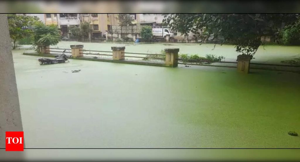 रहिवाशांनी वारंवार ड्रेनेजच्या समस्येची तक्रार केल्यावर पीएमआरडीए दोन वाघोली प्रकल्पांना स्टॉप-वर्क ऑर्डर जारी करते