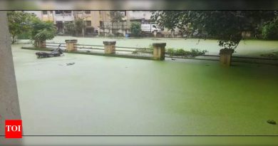 रहिवाशांनी वारंवार ड्रेनेजच्या समस्येची तक्रार केल्यावर पीएमआरडीए दोन वाघोली प्रकल्पांना स्टॉप-वर्क ऑर्डर जारी करते