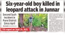 एप्रिलपासून पुणे जिल्ह्यात शिष्य गावात बिबट्याने 5 वर्षांच्या मुलीला ठार मारले.
