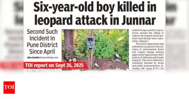 एप्रिलपासून पुणे जिल्ह्यात शिष्य गावात बिबट्याने 5 वर्षांच्या मुलीला ठार मारले.