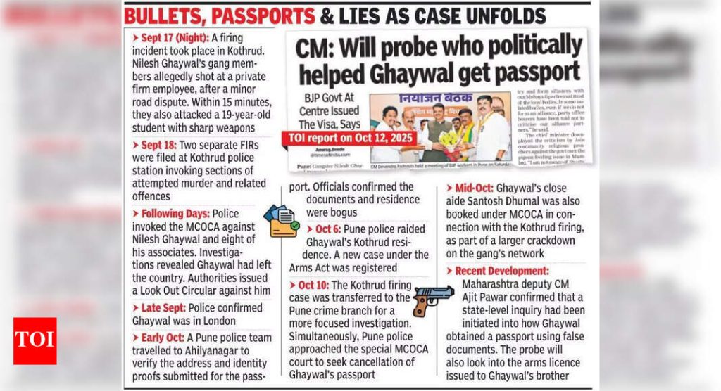 इंटरपोल गँगस्टर निलेश घायवाल यांच्याविरूद्ध ब्लू कॉर्नर नोटीस जारी करते