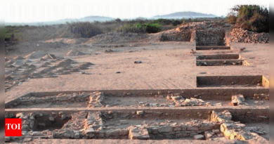 ‘कांस्ययुगातील व्यापाऱ्यांना लक्झरी थांबे होते’: हडप्पा लोकांनी 4,000 वर्षांपूर्वी गुजरातमध्ये भारतातील पहिल्या रस्त्याच्या कडेला सराय बांधले; कोटाडा भादली साइटने संघटित व्यापार पायाभूत माहिती उघड केली