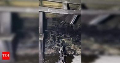 वाकड येथील सेवा केंद्राला लागलेल्या आगीत ३० ई-स्कूटरचे नुकसान पुणे बातम्या