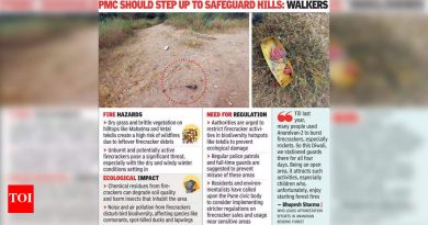 दिवाळीनंतर डोंगरमाथ्यावर फटाक्यांच्या ढिगाऱ्यांमुळे आग आणि पर्यावरणीय चिंता वाढतात