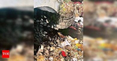 हडपसरमधील जीर्ण पूल अनेक महिन्यांपासून दुरुस्तीच्या प्रतीक्षेत, धोकादायक मार्गावरून वाहतूक सुरूच