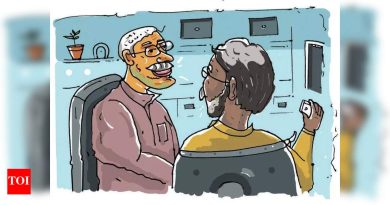 कार्यरत व्यावसायिक कुटुंबातील वडिलांना साहचर्य देण्यासाठी सेवानिवृत्तांना नियुक्त करतात