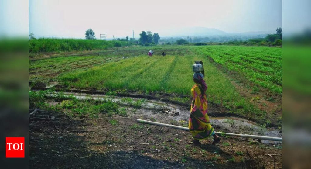 पुरंदर जमिनीचा मोबदला देण्यापूर्वी पुणे जिल्हाधिकारी एसईसीची परवानगी घेणार