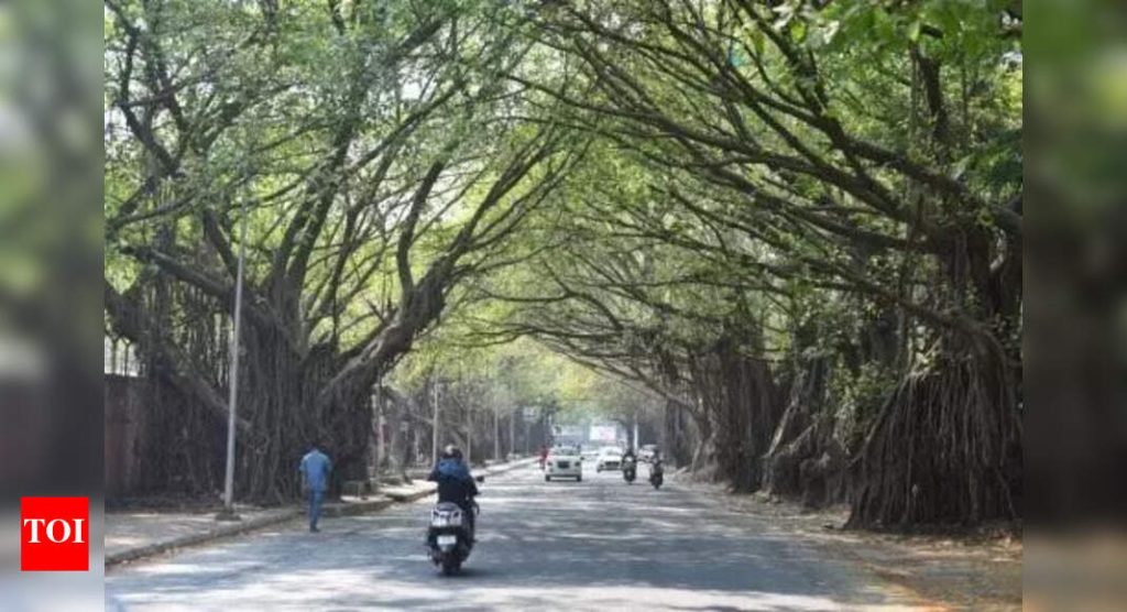 वृक्षतोड कायदा कठोर करा, उल्लंघन करणाऱ्यांना शिक्षा करा, अशी कार्यकर्त्यांची मुख्यमंत्र्यांकडे विनंती | पुणे बातम्या
