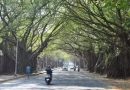 वृक्षतोड कायदा कठोर करा, उल्लंघन करणाऱ्यांना शिक्षा करा, अशी कार्यकर्त्यांची मुख्यमंत्र्यांकडे विनंती | पुणे बातम्या वृक्षतोड कायदा कठोर करा, उल्लंघन करणाऱ्यांना शिक्षा करा, अशी कार्यकर्त्यांची मुख्यमंत्र्यांकडे विनंती | पुणे बातम्या