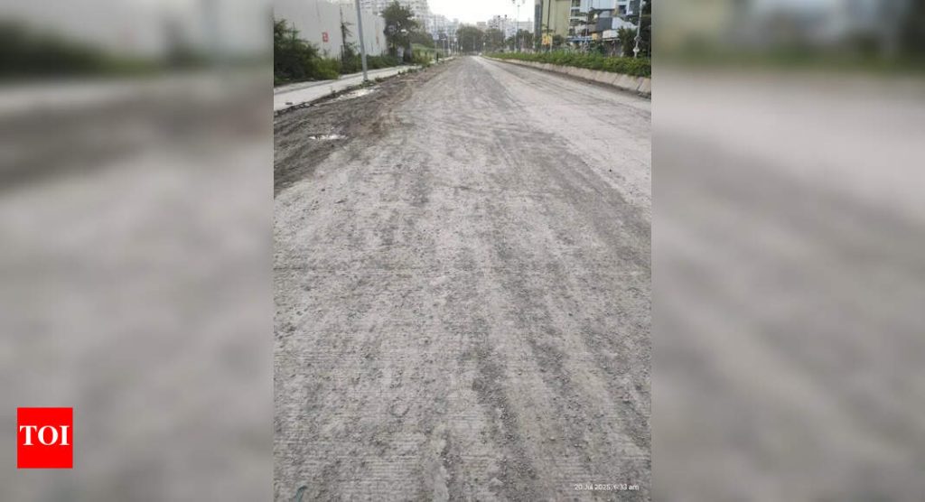 वाकडवासीयांनी वाढत्या प्रदूषणाला अधोरेखित केले, १५ नोव्हेंबरला आंदोलनाचा इशारा