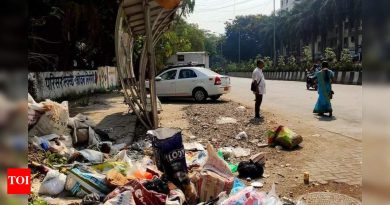 PCMC च्या 24×7 बेकायदेशीर कचरा निगराणी अंतर्गत 4,000 लोकांना दंड