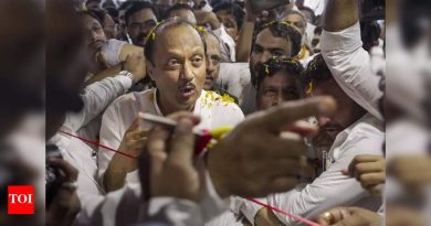 मुंढवा जमीन खरेदी-विक्रीच्या नोंदणीसाठी अजित पवारांचा बाबूंवर आरोप