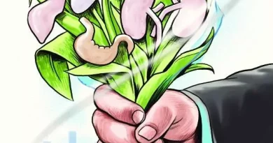 भारत भेटीवर आलेल्या ऑस्ट्रेलियन नागरिकाला स्ट्रोकनंतर ब्रेन डेड घोषित; कुटुंबाने चार जीव वाचवण्यासाठी अवयव दान केले