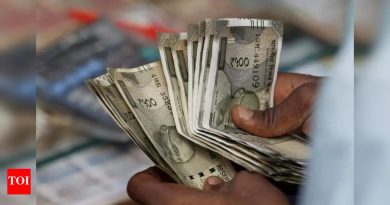 लाडकी बहिन ई-केवायसीची अंतिम मुदत वाढली: लाभार्थ्यांना उत्पन्न पडताळणीत अडथळे येतात