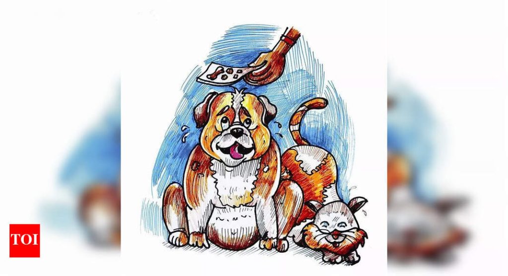 शहरी पाळीव प्राण्यांचे पीक चाँक: पशुवैद्य आणि पाळीव पोषणतज्ञ अयोग्य आहार, अति आहाराकडे निर्देश करतात