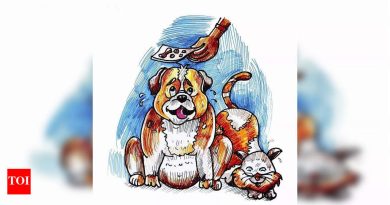 शहरी पाळीव प्राण्यांचे पीक चाँक: पशुवैद्य आणि पाळीव पोषणतज्ञ अयोग्य आहार, अति आहाराकडे निर्देश करतात