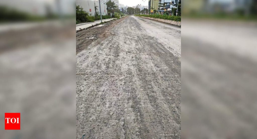 पिंपरी चिंचवडमधील डेड पोल्युशन सेन्सरबद्दलच्या चिंतेचे नागरी संस्थेने खंडन केले
