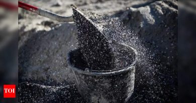 पर्यावरण नियमांचे उल्लंघन केल्याबद्दल PCMC ने 9 RMC प्लांट सील केले