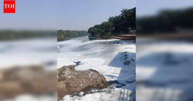 पवना नदीत पुन्हा विषारी फेस आला