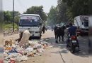 पुण्यातील कचऱ्याचे ढिगारे भटक्या गुरांना आकर्षित करतात, वाहतूक कोंडी आणि अपघात