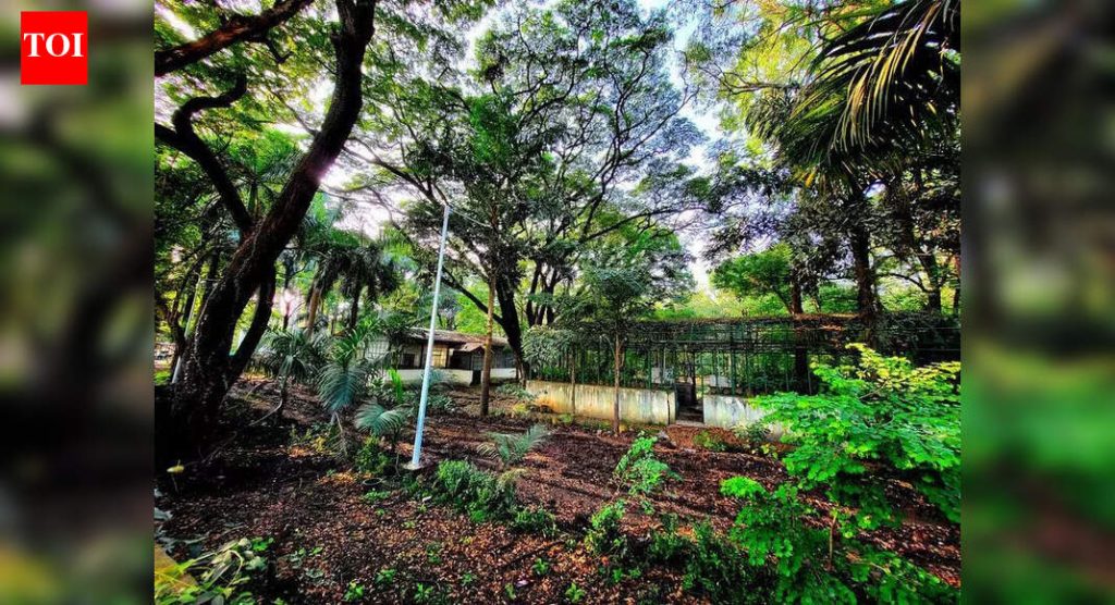 जिल्हाधिकाऱ्यांच्या आदेशावरून पुणे जिल्ह्यात शासकीय जमिनीच्या पार्सलचे ऑन ग्राउंड ऑडिट सुरू