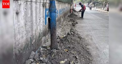 कामाचा दुप्पट प्रकार टाळण्यासाठी पीएमसी रस्ते दुरुस्तीला जिओटॅग करणार