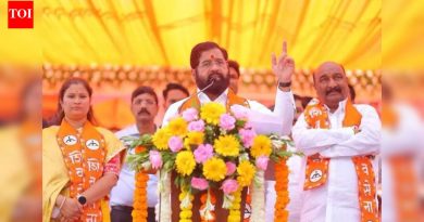 प्रचाराचा शेवट मोठ्या प्रमाणावर; महाराष्ट्रात आज नगर पंचायत निवडणुकीसाठी मतदान होत आहे