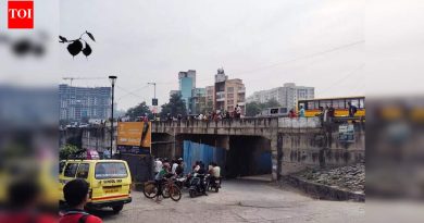 बावधनमधील रामनदीजवळ ताज्या बिबट्या दिसल्याच्या अहवालाची चौकशी पथकांनी केल्याने गर्दीमुळे समस्या निर्माण झाली