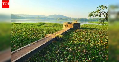 जलकुंभ काढण्यासाठी पीएमसी अडीच कोटी खर्च करणार, नागरिकांचा सवाल