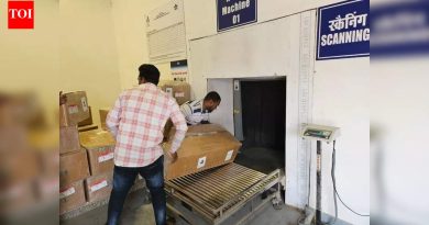 उड्डाणात व्यत्यय आल्याने शिपमेंट विलंबाचा कॅस्केडिंग परिणाम सुरू झाल्याने कुरिअर सेवांना फटका बसला