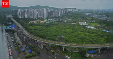 एमआयडीसीने न वापरलेल्या जमिनी शेतकऱ्यांना परत मिळाव्यात, असे भोरचे आमदार मांडेकर म्हणाले