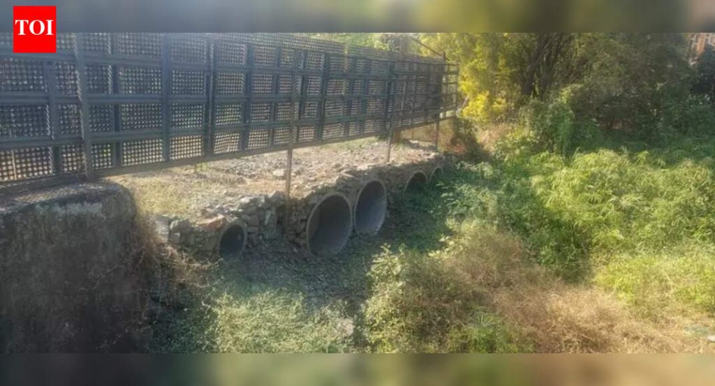 इंद्रायणी नदीपात्रातील अतिक्रमणे हटवणे, 30L दंडाविरोधात पुनर्विलोकन याचिका: NGT