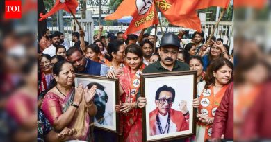 नागरी निवडणुकीच्या पहिल्या टप्प्यात महायुतीने धुव्वा उडवला, भाजप सर्वात मोठा पक्ष ठरला