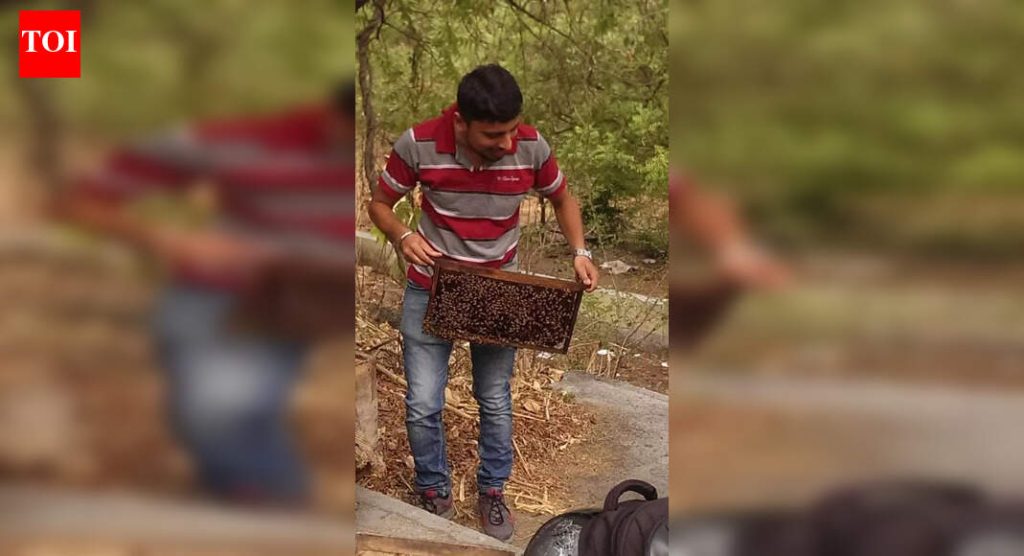 अंगावर उठणार्या पित्ताच्या गाठी पडतात, परागकणांची संख्या डुबकी मारते आणि प्लॅन बीशिवाय शेतात संघर्ष होतो