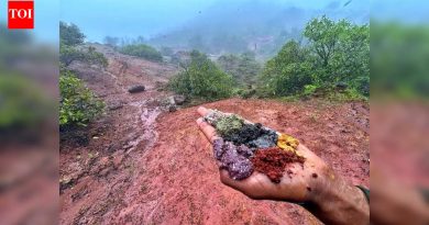 रायरेश्वर पठाराच्या सहा छटांमध्ये भूवैज्ञानिक आश्चर्याची रहस्ये आहेत