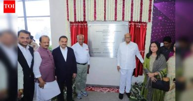 एआय आता जागतिक वर्चस्वाची स्पर्धा आहे, देशाला स्वतःच्या मॉडेलची गरज आहे: अदानी