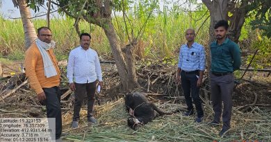 रेणाखळी शिवारात बिबट्याचा वावर; सलग हल्ल्यांनी शेतकरी भयभीत!