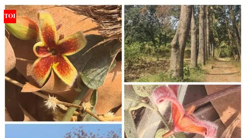 स्वयंसेवकांनी मुळा नदीकाठी सांडपाणी सोडणे आणि वस्तीचे नुकसान केले