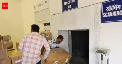 डाळिंब, मेंढीचे मटण यामुळे पुणे विमानतळाबाहेर आंतरराष्ट्रीय मालवाहू निर्यातीला चालना: अधिकारी | पुणे बातम्या