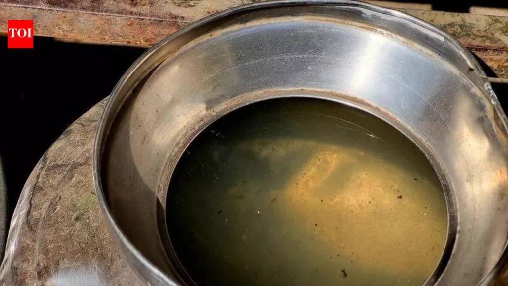 जीबीएसच्या उद्रेकाच्या एक वर्षानंतर, पीएमसी अजूनही प्रभावित भागात पाणी सुरक्षा आणि रुग्णालय सज्जतेमध्ये कमी पडतो | पुणे बातम्या