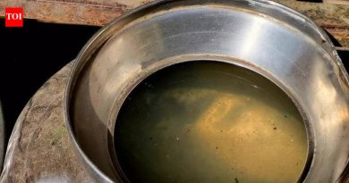 जीबीएसच्या उद्रेकाच्या एक वर्षानंतर, पीएमसी अजूनही प्रभावित भागात पाणी सुरक्षा आणि रुग्णालय सज्जतेमध्ये कमी पडतो | पुणे बातम्या