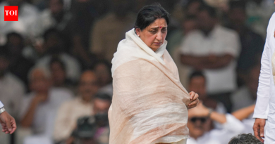 राष्ट्रवादीच्या वरिष्ठांना अजित यांच्या पत्नी सुनेत्रा यांना उपमुख्यमंत्रीपदी हवे आहे; पोटनिवडणूक लढण्यासाठी एकतर मुलाला बारामतीत बोलावले | पुणे बातम्या