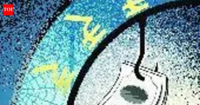 बनावट कागदपत्रांसह बंदुक परवाना मिळविणाऱ्या गुन्हेगाराविरुद्ध गुन्हा | पुणे बातम्या