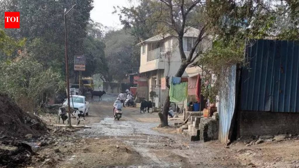 प्रदीर्घ दुरुस्तीमुळे पुण्यातील बाणेर पाषाण लिंक रोड लोकलचा जीव धोक्यात आला आहे