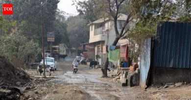 प्रदीर्घ दुरुस्तीमुळे पुण्यातील बाणेर पाषाण लिंक रोड लोकलचा जीव धोक्यात आला आहे