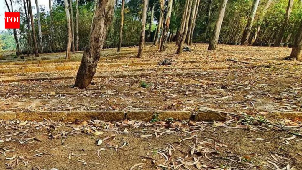 स्टॅम्प ड्युटी दायित्व, दंडाबाबत आयजीआर 16 फेब्रुवारी रोजी अमेडियाच्या अपीलवर सुनावणी करणार आहे