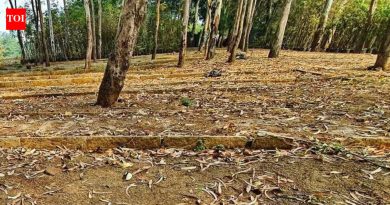 स्टॅम्प ड्युटी दायित्व, दंडाबाबत आयजीआर 16 फेब्रुवारी रोजी अमेडियाच्या अपीलवर सुनावणी करणार आहे