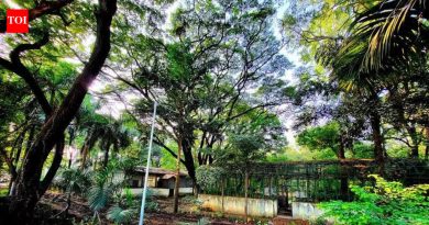 पुढील कार्यवाहीबाबत मुख्यमंत्र्यांशी सल्लामसलत करणार: मुंढवा जमीन व्यवहाराबाबत खर्गे समितीने अहवाल सादर केल्यानंतर बावनकुळे