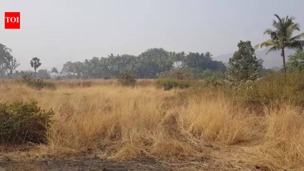 सोलापुरात आयटी पार्क विकसित करण्यासाठी एमआयडीसीला जमीन मिळणार : पालकमंत्री गोरे